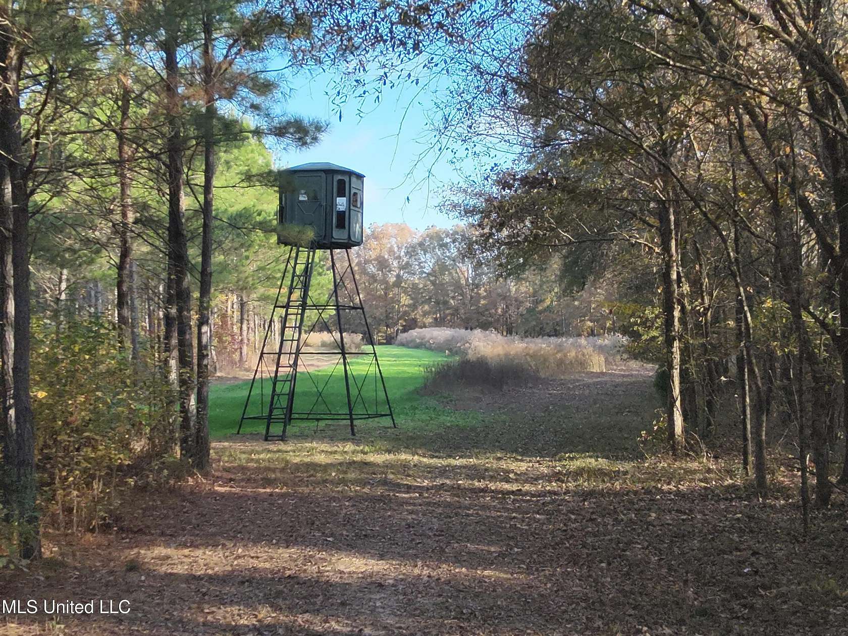 238 Acres of Recreational Land for Sale in Bentonia, Mississippi