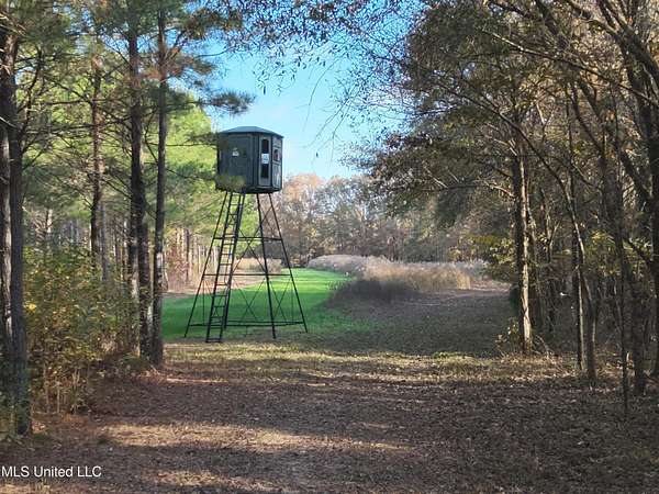 238 Acres of Recreational Land for Sale in Bentonia, Mississippi
