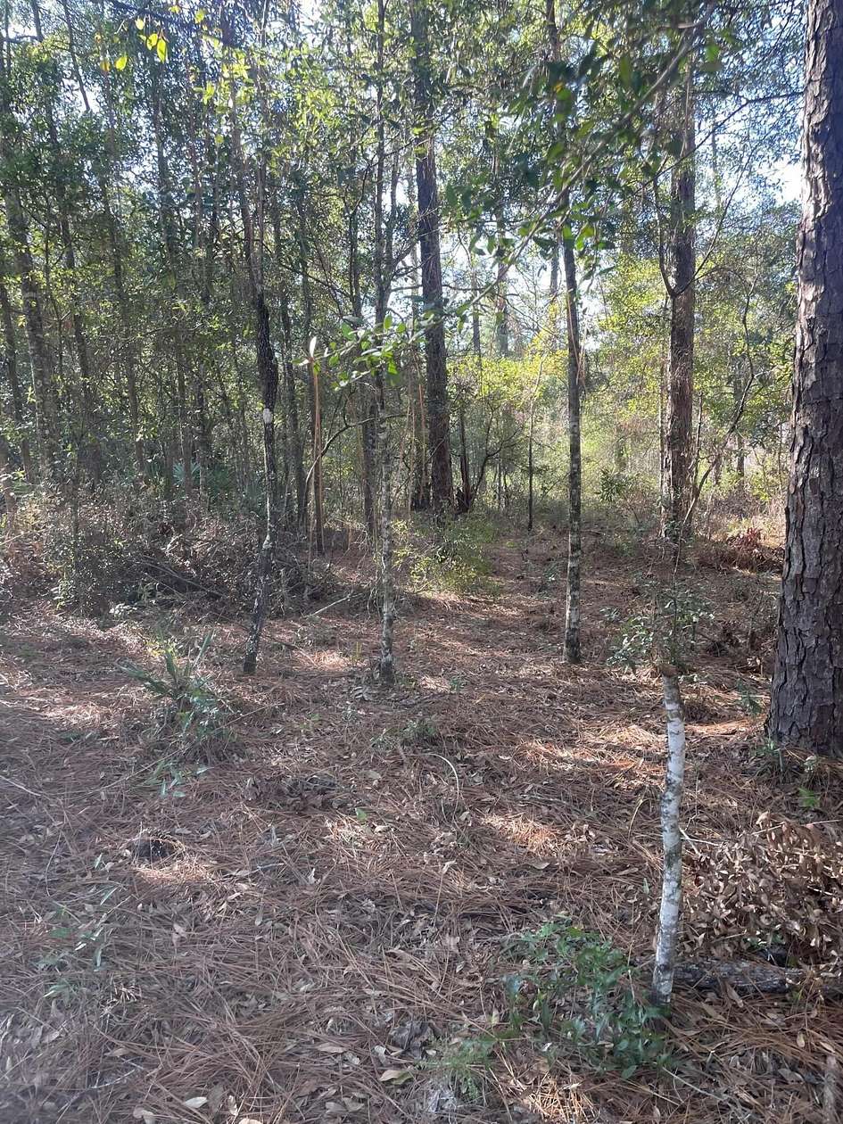 1 Acre of Residential Land for Sale in DeFuniak Springs, Florida