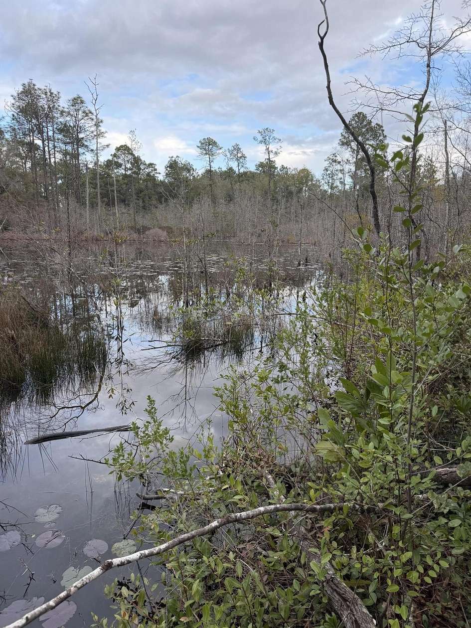 1 Acre of Residential Land for Sale in DeFuniak Springs, Florida