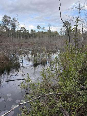 1 Acre of Residential Land for Sale in DeFuniak Springs, Florida