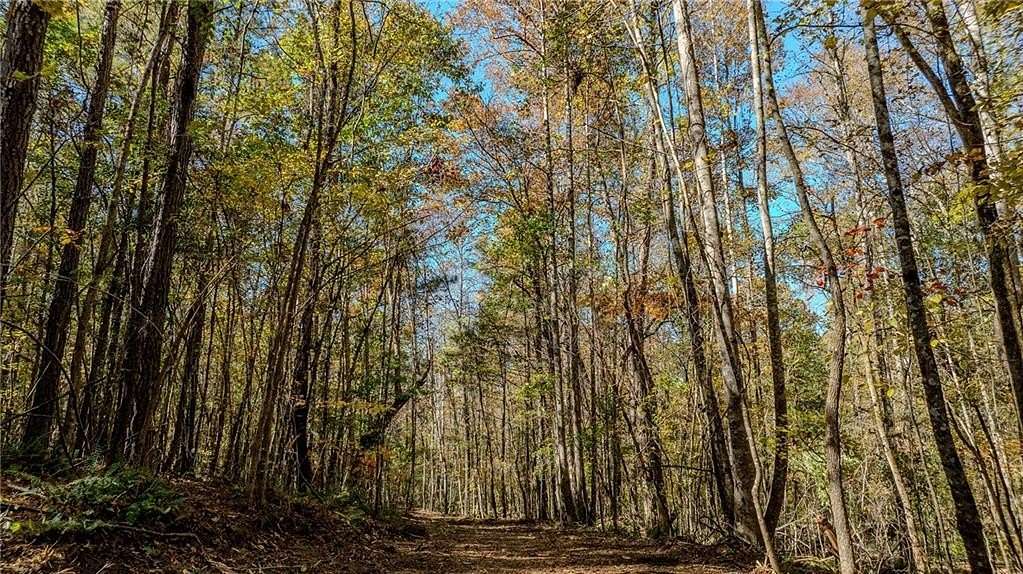 13.2 Acres of Land for Sale in Chattahoochee Hills, Georgia