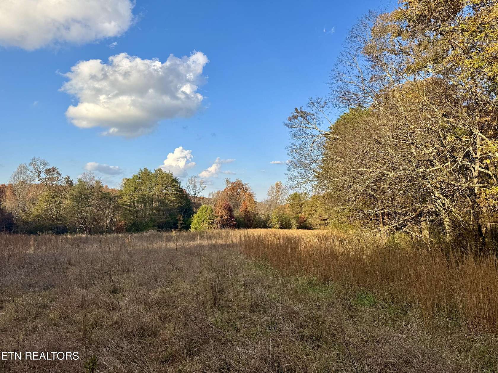 22 Acres of Agricultural Land for Sale in Madisonville, Tennessee