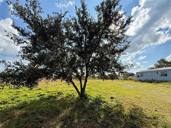 20.4 Acres of Land with Home for Sale in Christmas, Florida