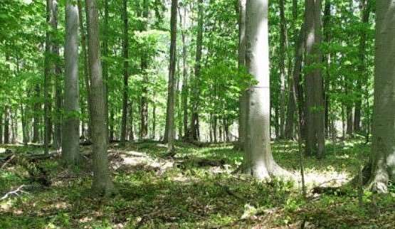 129 Acres of Recreational Land for Sale in Horseheads, New York