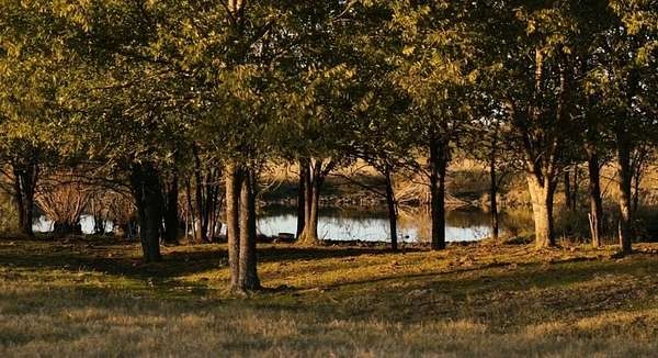 160 Acres of Land for Sale in Palmer, Texas