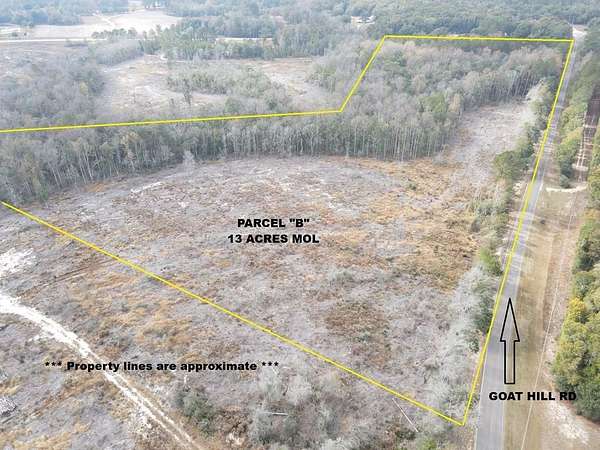 13 Acres of Land for Sale in Samson, Alabama