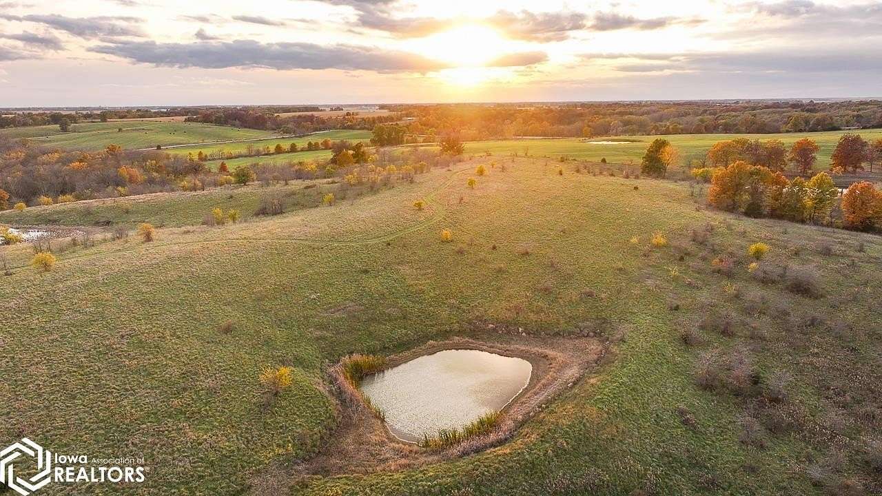 65 Acres of Recreational Land & Farm for Sale in Bloomfield, Iowa