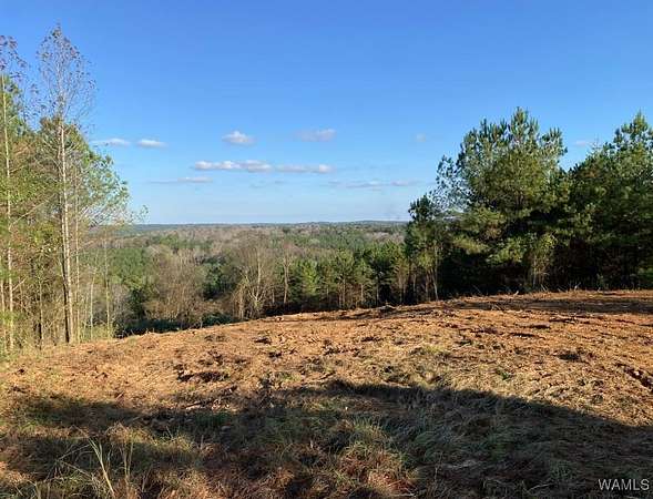 36.6 Acres of Commercial Land for Sale in Northport, Alabama