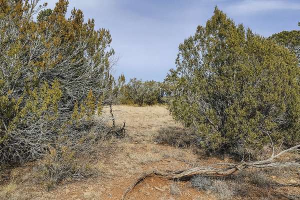 2.36 Acres of Residential Land for Sale in Seligman, Arizona