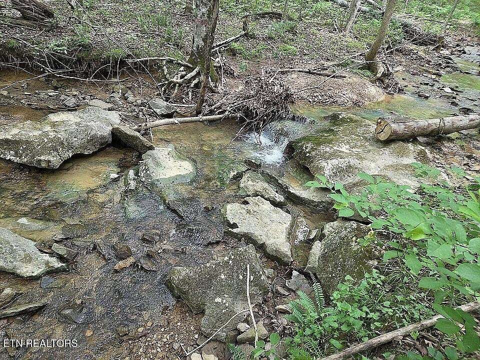 37 Acres of Land for Sale in Spencer, Tennessee