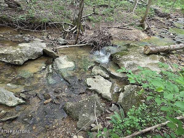 37 Acres of Land for Sale in Spencer, Tennessee