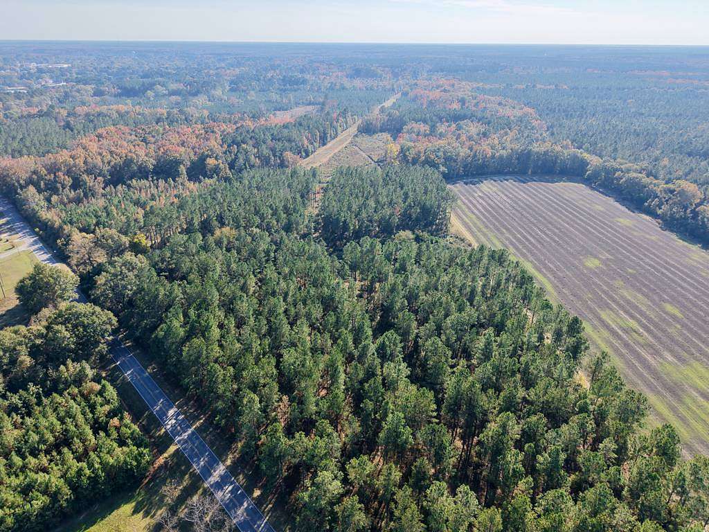 49.5 Acres of Land for Sale in Bamberg, South Carolina