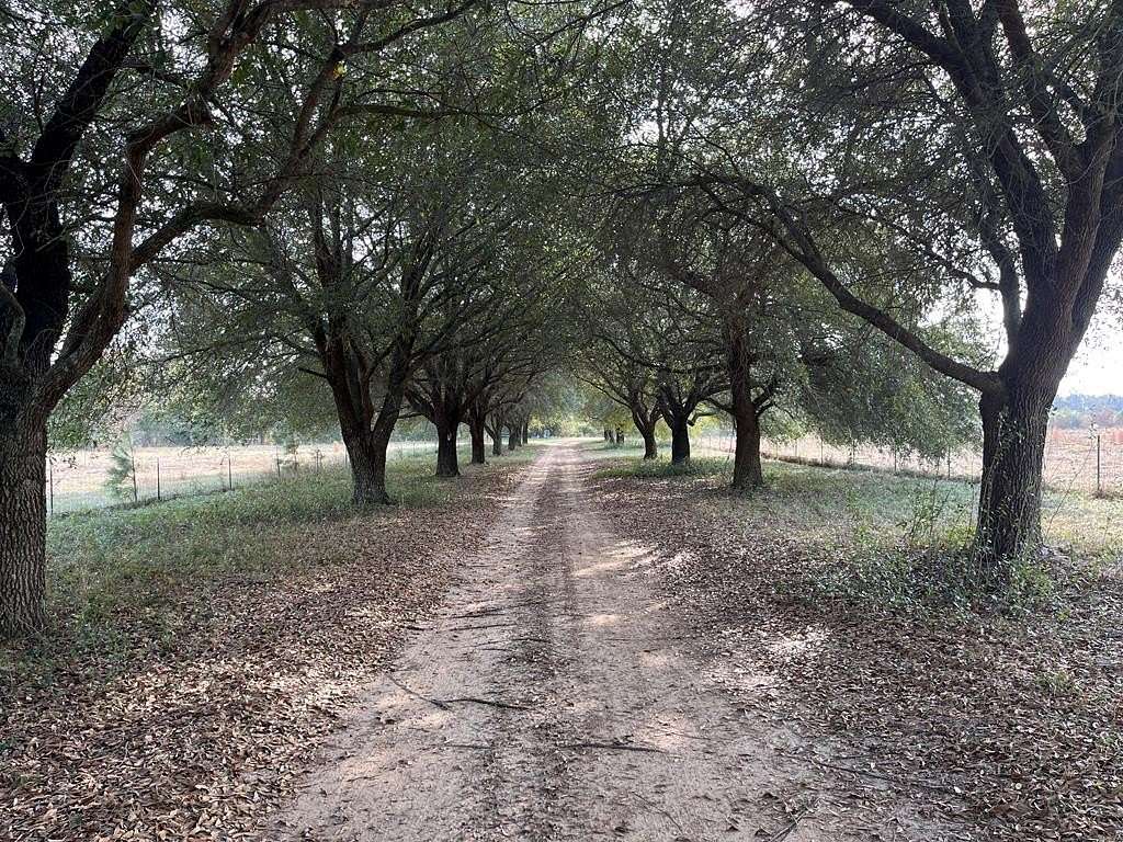 Residential Land for Sale in Abbeville, Alabama