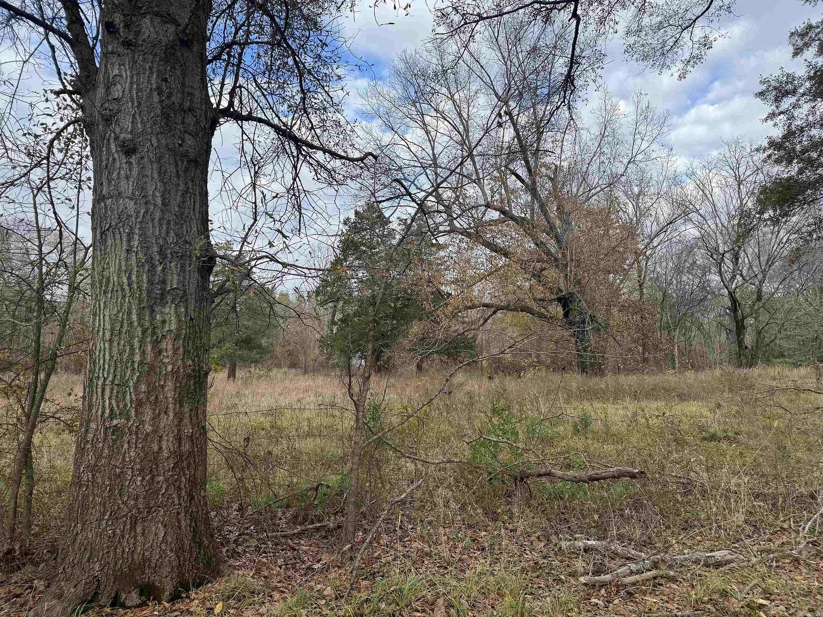 2 Acres of Land for Sale in Georgetown, Arkansas