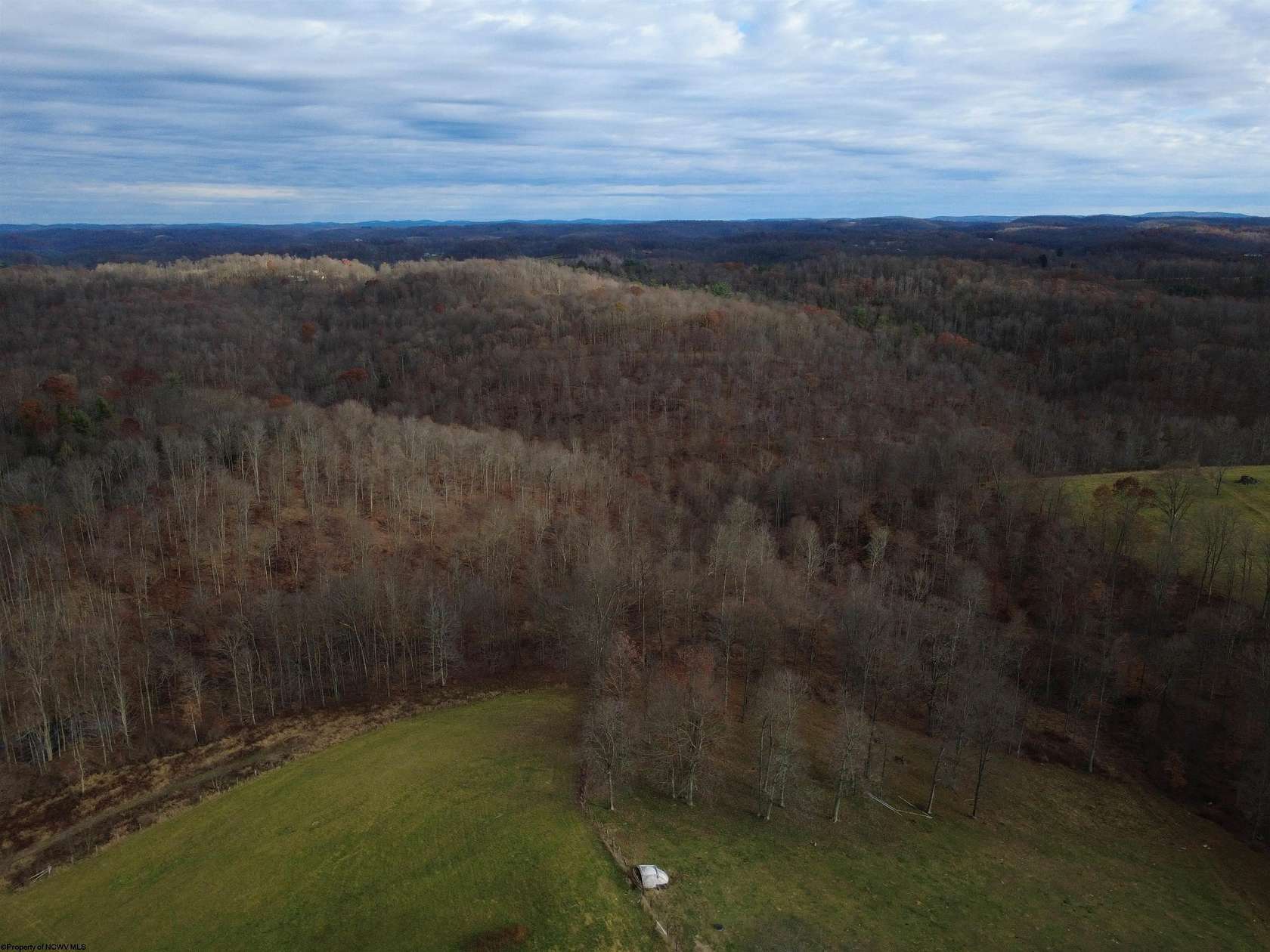 96.2 Acres of Recreational Land & Farm for Sale in French Creek, West Virginia