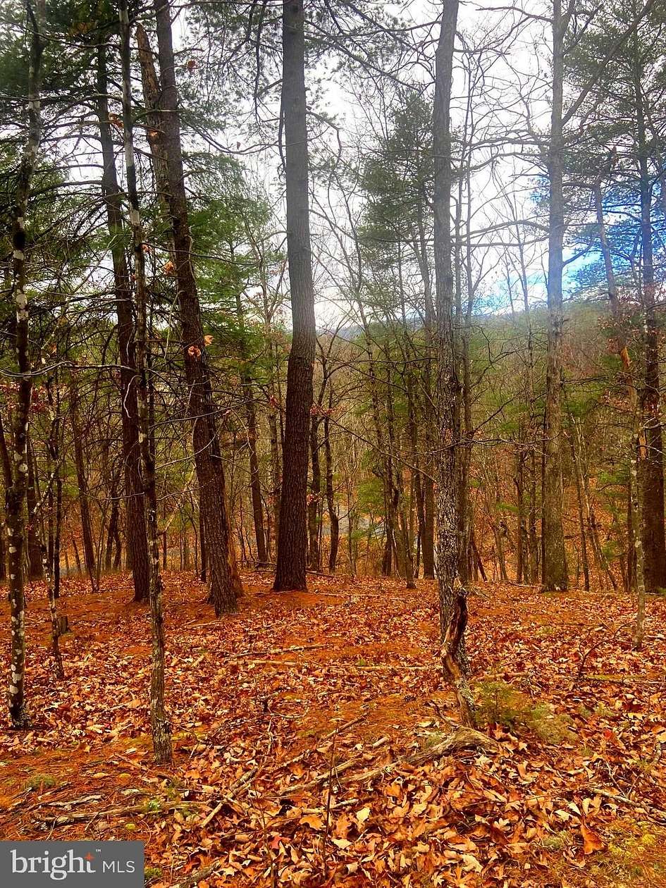 0.39 Acres of Land for Sale in Basye, Virginia