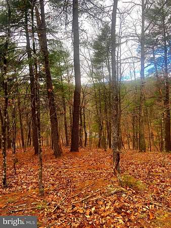 0.39 Acres of Land for Sale in Basye, Virginia