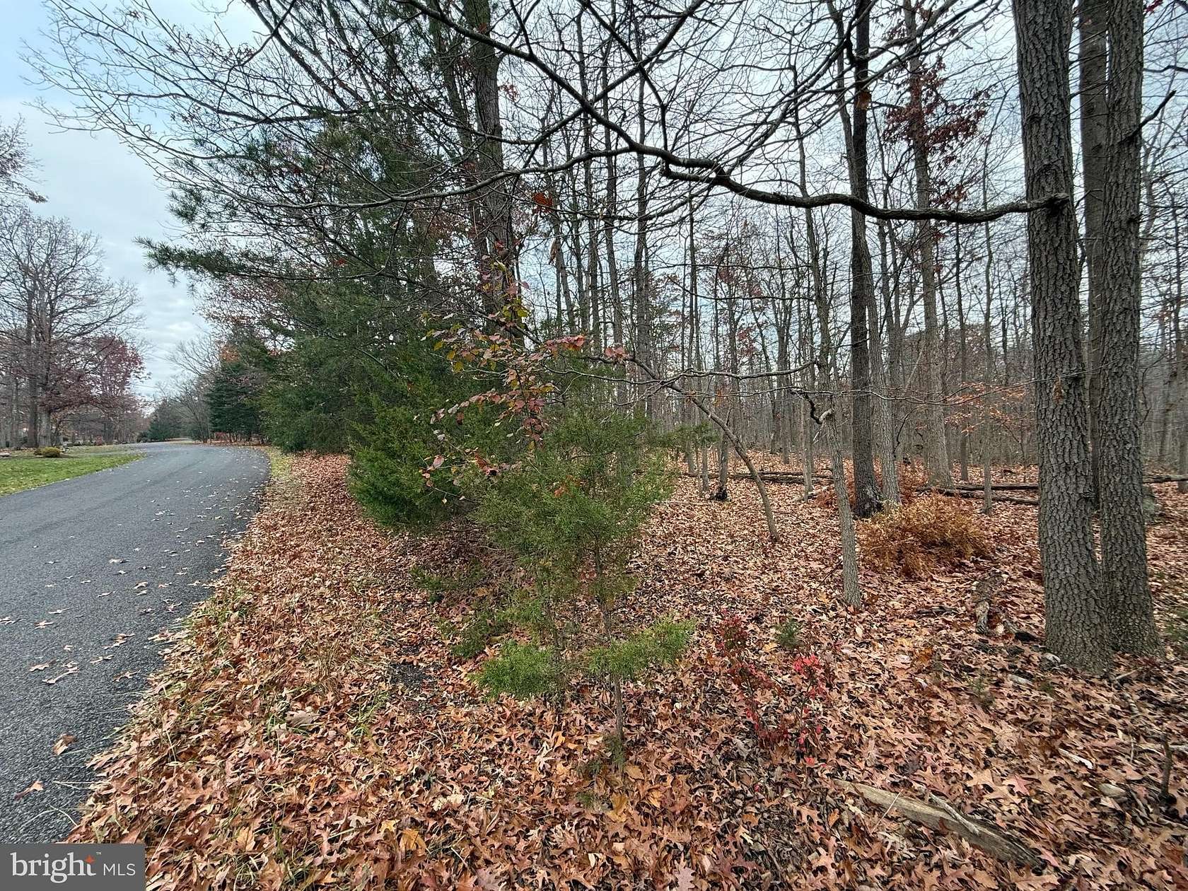 1 Acre of Residential Land for Sale in Front Royal, Virginia