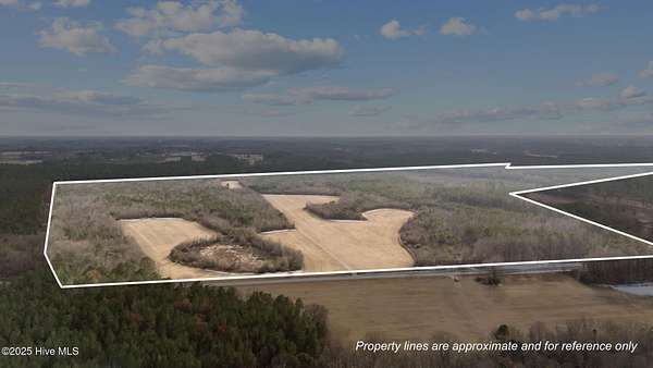 244 Acres of Agricultural Land for Sale in Battleboro, North Carolina