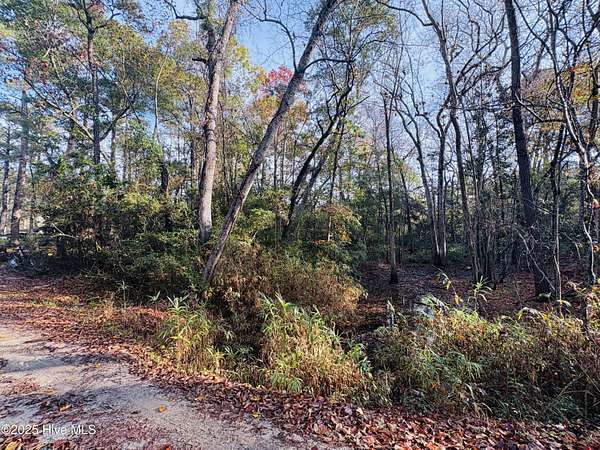 0.26 Acres of Residential Land for Sale in Shallotte, North Carolina