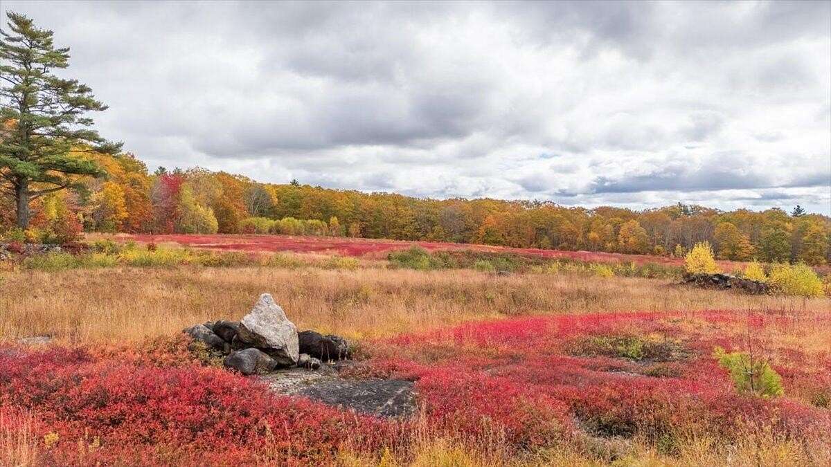 122 Acres of Agricultural Land for Sale in Union, Maine