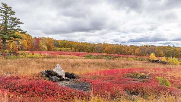 122 Acres of Agricultural Land for Sale in Union, Maine