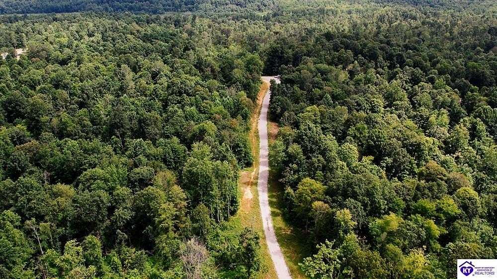 84.3 Acres of Recreational & Residential Land for Sale in Cromwell, Kentucky