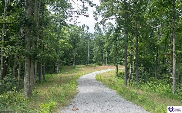 43.8 Acres of Recreational Land for Sale in Cromwell, Kentucky