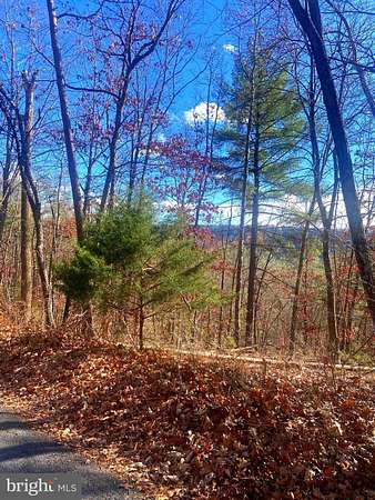 0.27 Acres of Land for Sale in Basye, Virginia