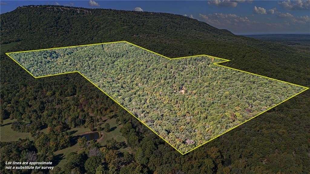 137 Acres of Recreational Land for Sale in Dardanelle, Arkansas