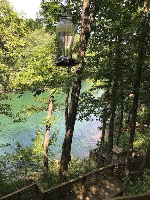 2.65 Acres of Land with Home for Sale in Eureka Springs, Arkansas