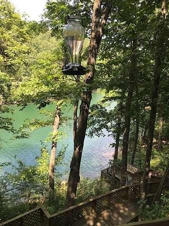 2.65 Acres of Residential Land with Home for Sale in Eureka Springs, Arkansas