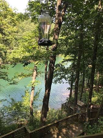 2.65 Acres of Land with Home for Sale in Eureka Springs, Arkansas