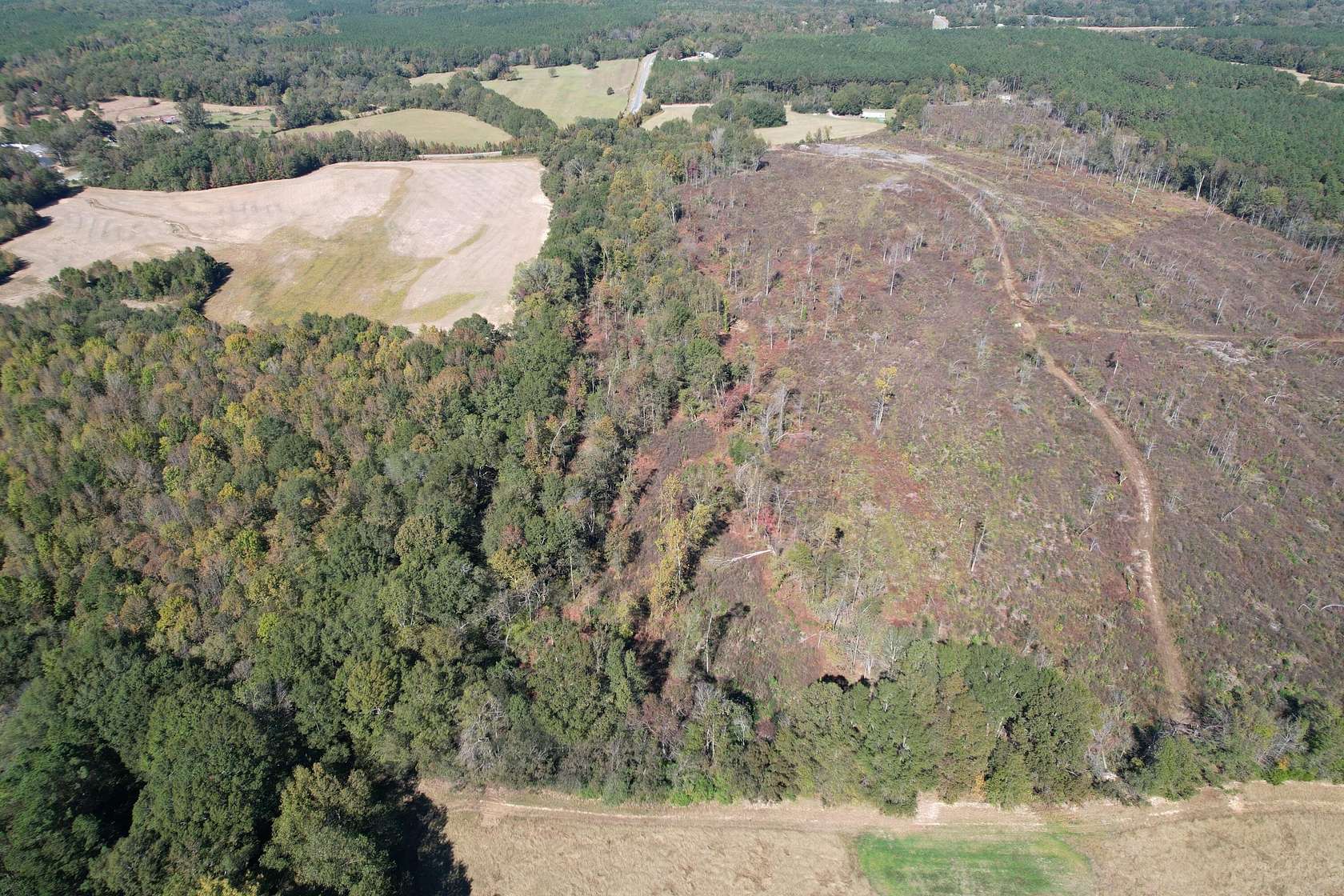 35 Acres of Land for Sale in Myrtle, Mississippi