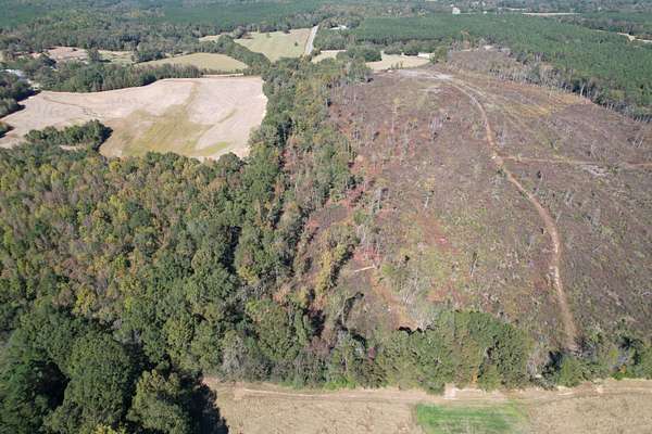35 Acres of Land for Sale in Myrtle, Mississippi