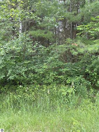 0.82 Acres of Residential Land for Sale in Gladwin, Michigan
