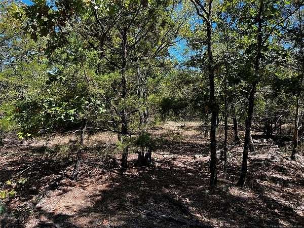 25 Acres of Recreational & Residential Land for Sale in Moyers, Oklahoma