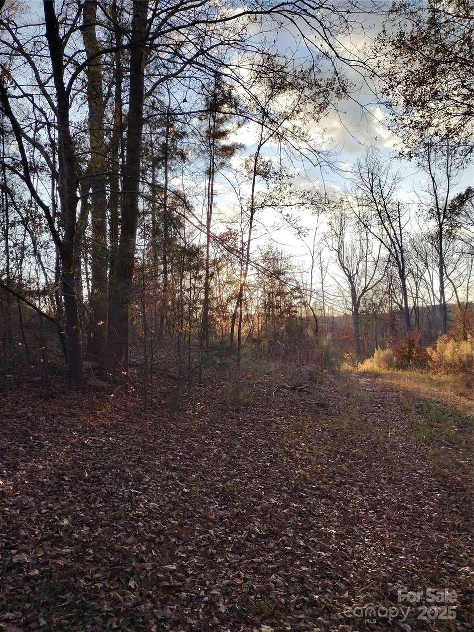 32 Acres of Agricultural Land for Sale in Chester, South Carolina