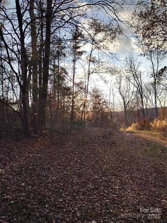 32 Acres of Agricultural Land for Sale in Chester, South Carolina