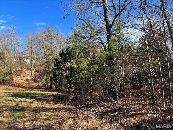 0.38 Acres of Residential Land for Sale in Bonne Terre, Missouri