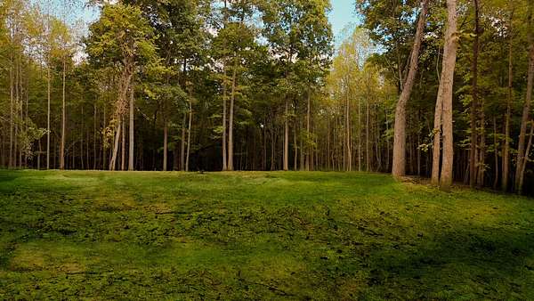 5 Acres of Residential Land with Home for Sale in White House, Tennessee