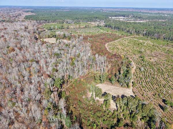 158 Acres of Land for Sale in Hampton, South Carolina