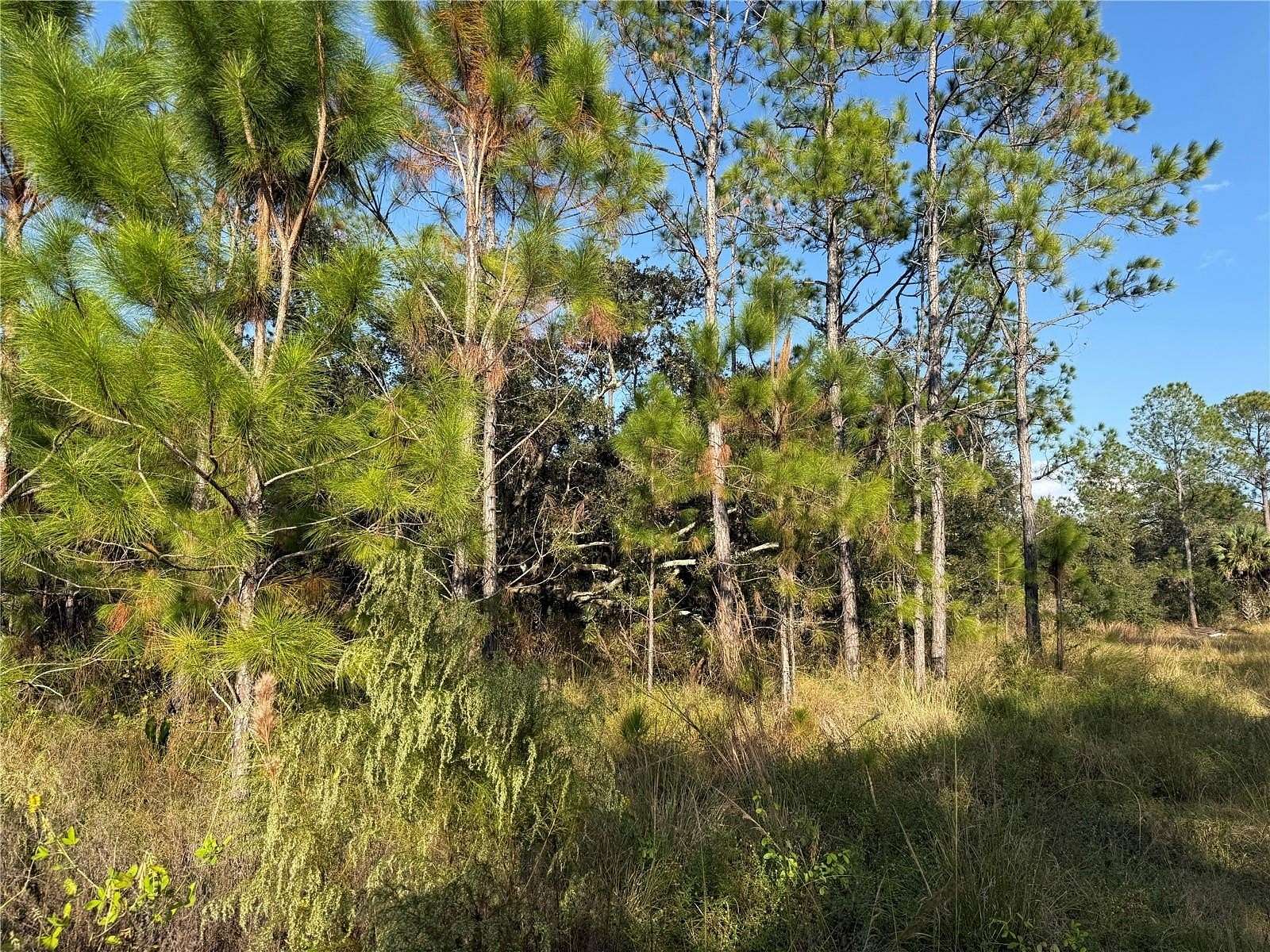 1.27 Acres of Residential Land for Sale in Lake Wales, Florida