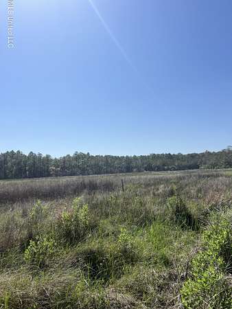 240 Acres of Recreational Land for Sale in Bay St. Louis, Mississippi