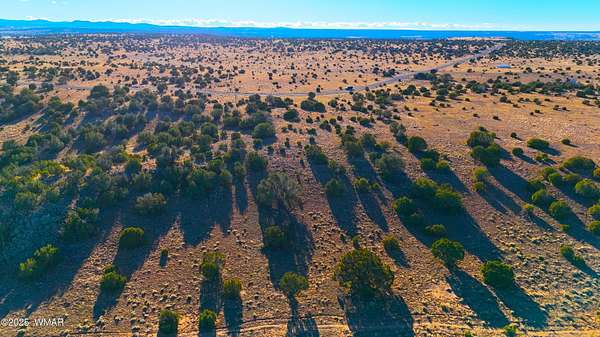 7 Acres of Residential Land for Sale in Concho, Arizona