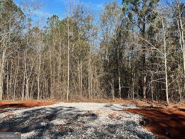 8.69 Acres of Residential Land for Sale in Barnesville, Georgia