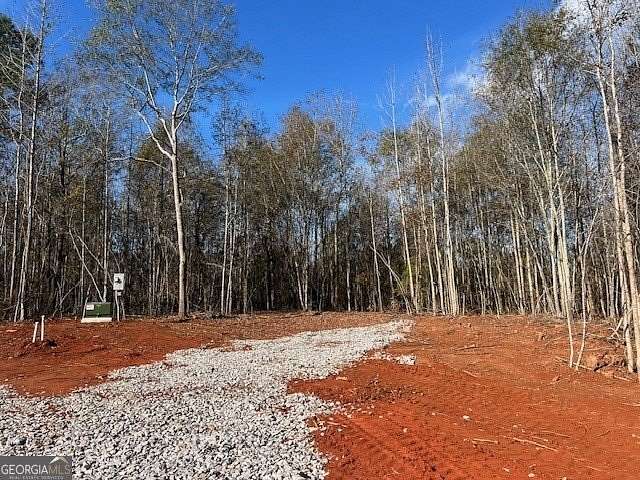 10.2 Acres of Land for Sale in Barnesville, Georgia