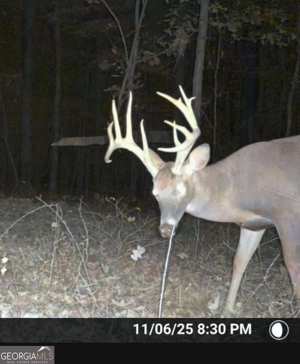 85 Acres of Recreational Land & Farm for Sale in Comer, Georgia