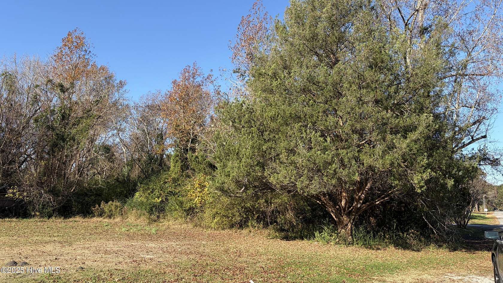 0.24 Acres of Residential Land for Sale in Belhaven, North Carolina